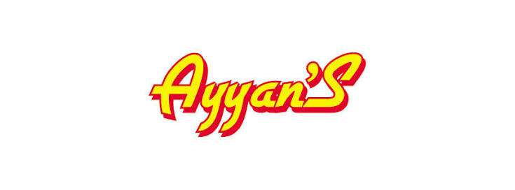 Ayyan Fireworks